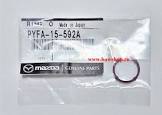 PYFA15592A
